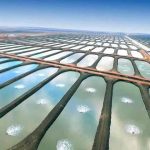 برك تربية الأسماك باستخدام الجيوممبران