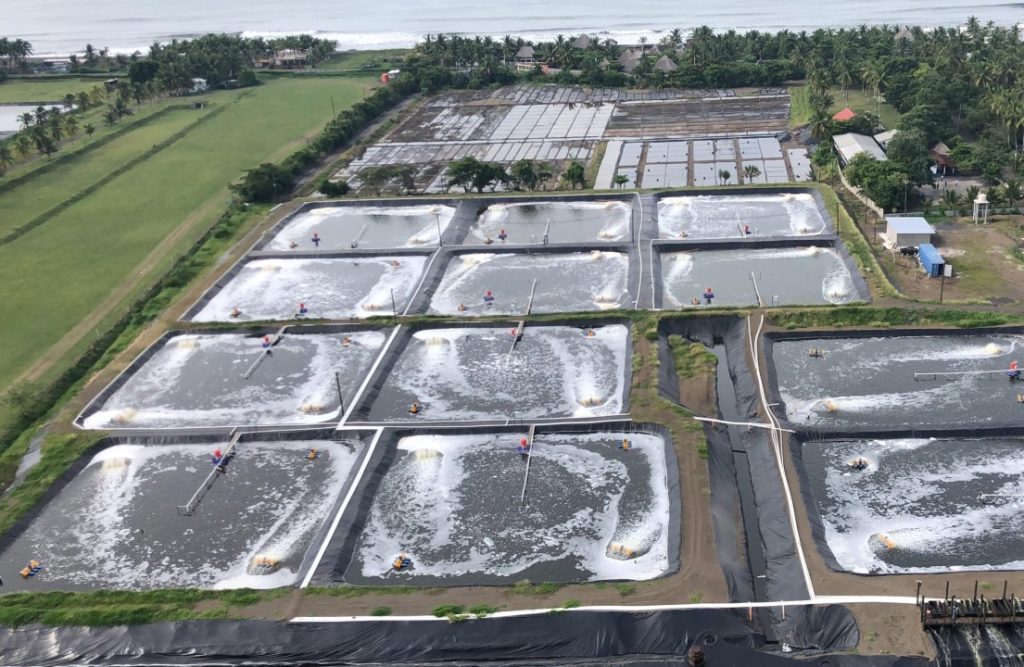 Applications of Geomembrane in Fish Farming Ponds: From Aquaculture to Aquatic Plants Applications of Geomembrane in Fish Farming Ponds: From Aquaculture to Aquatic Plants