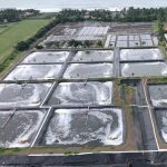 How HDPE Geomembranes Became the Secret to Profitable Fish Farming