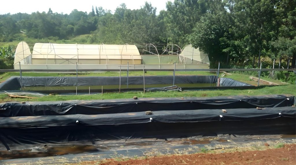 چرا ژئوممبرین HDPE برای پروژه‌های آبزی‌پروری انتخاب مناسبی است؟