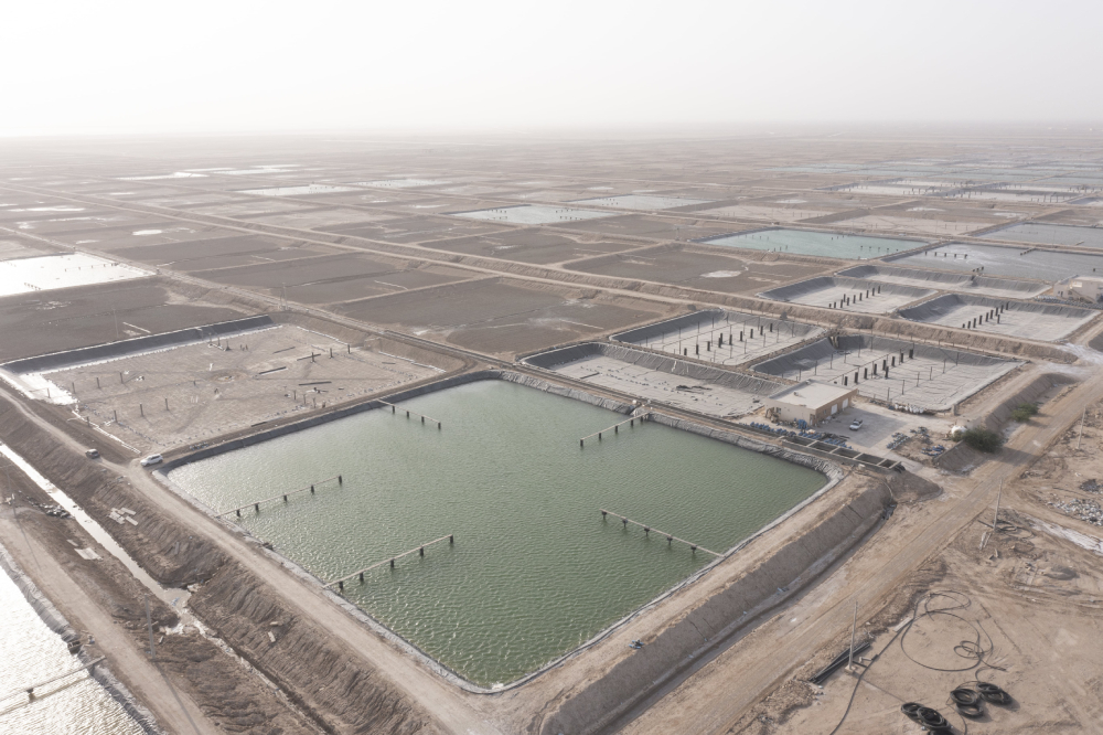 پروژه استخر پروش میگو – سایت شیف بوشهر