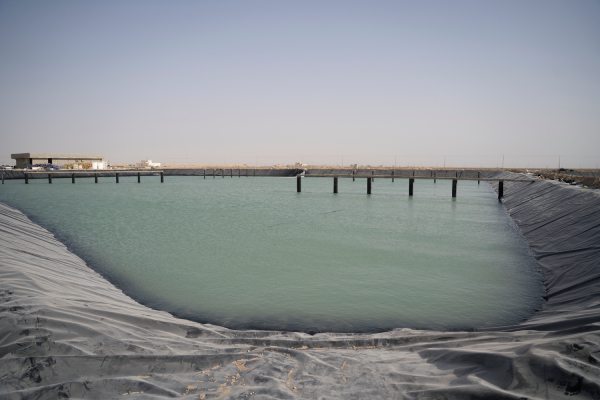 پروژه استخر پرورش میگو – استان بوشهر (حله)